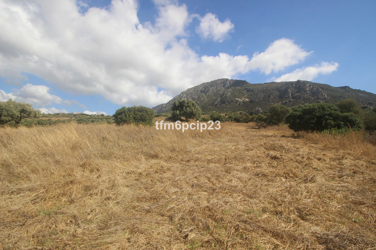 Plots for sale in Casares Costa Del Sol, Málaga, Spain