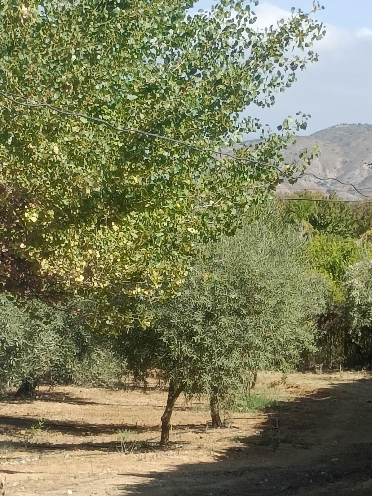 4 Bed Townhouse for sale in Alhaurín El Grande Costa Del Sol, Málaga, Spain