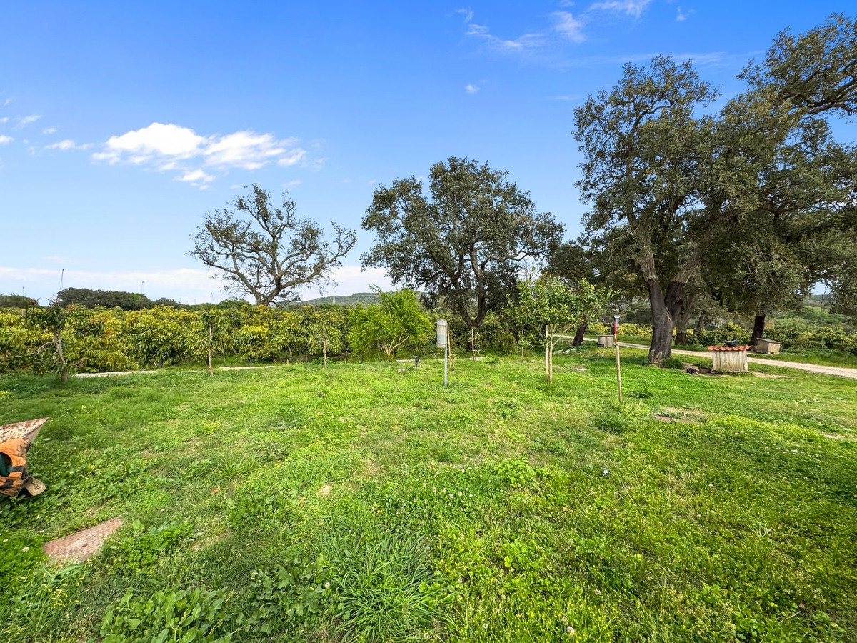 Se vende Villa - Chalet de 1 dormitorios en Costa Del Sol, Cadiz, España