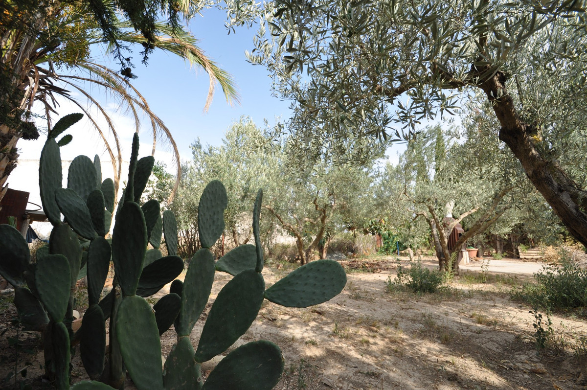 Se vende Finca - Cortijo de 4 dormitorios en Costa Blanca, Alicante, España