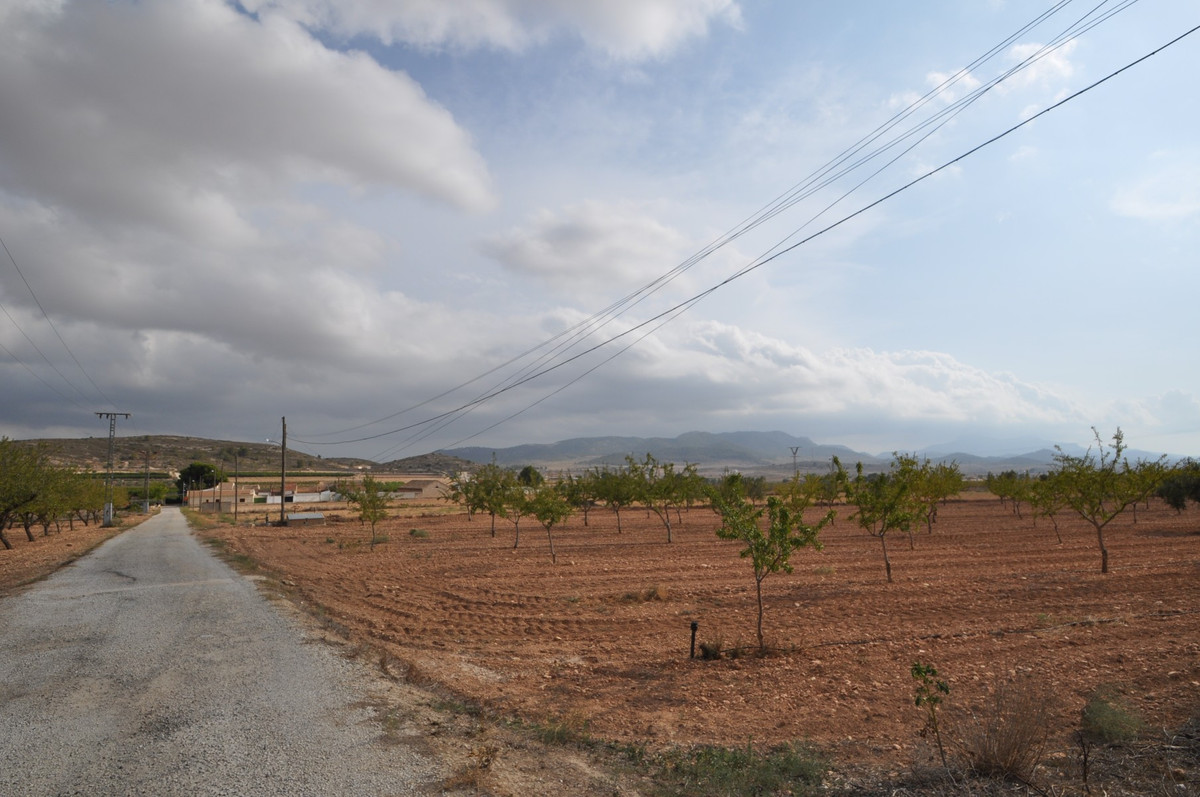 Se vende Finca - Cortijo de 4 dormitorios en Costa Blanca, Alicante, España