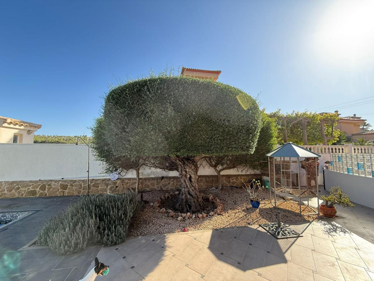 3 Bed Townhouse for sale in San Miguel De Salinas Costa Blanca, Alicante, Spain