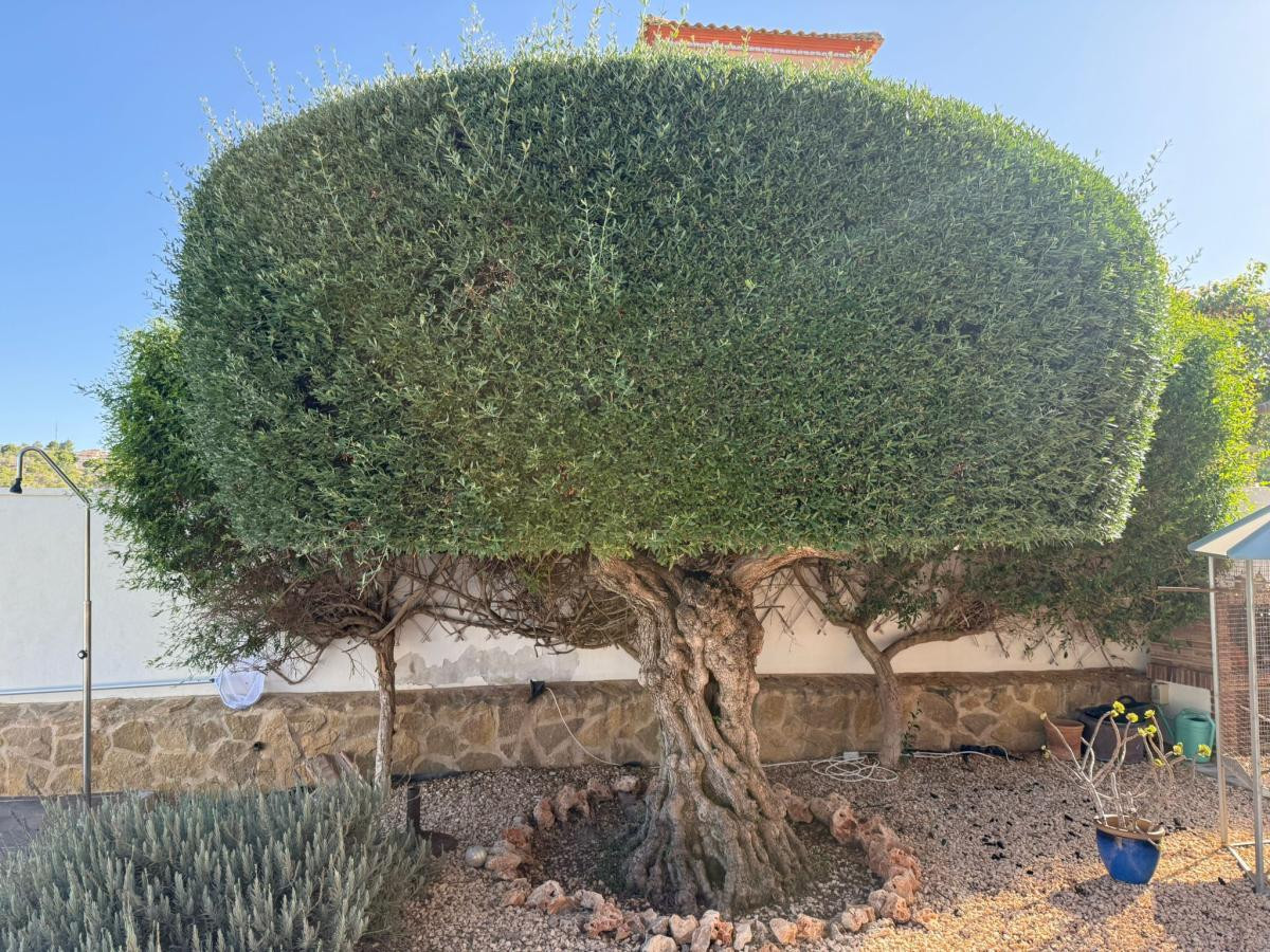 3 Bed Townhouse for sale in San Miguel De Salinas Costa Blanca, Alicante, Spain