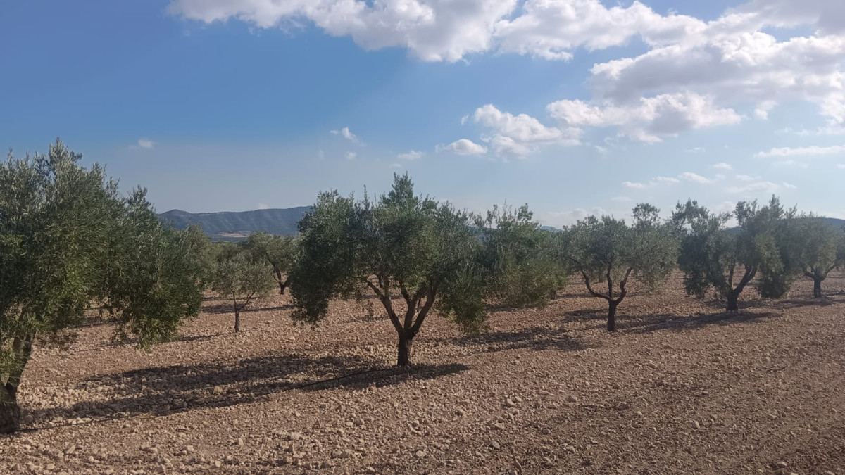 Se vende Terreno Rustico  en Costa Blanca, Alicante, España