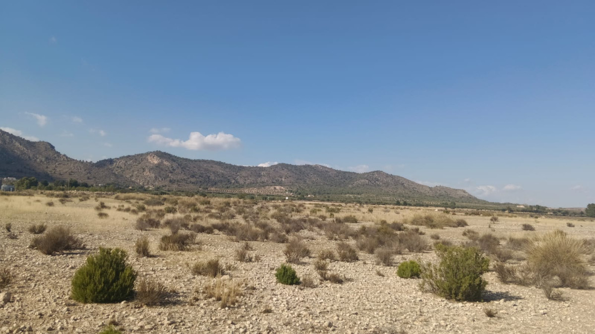 Se vende Terreno Rustico  en Costa Blanca, Alicante, España