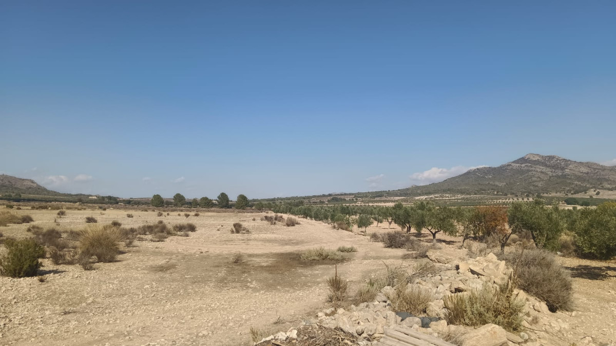 Se vende Terreno Rustico  en Costa Blanca, Alicante, España