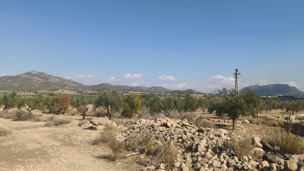 Se vende Terreno Rustico  en Costa Blanca, Alicante, España