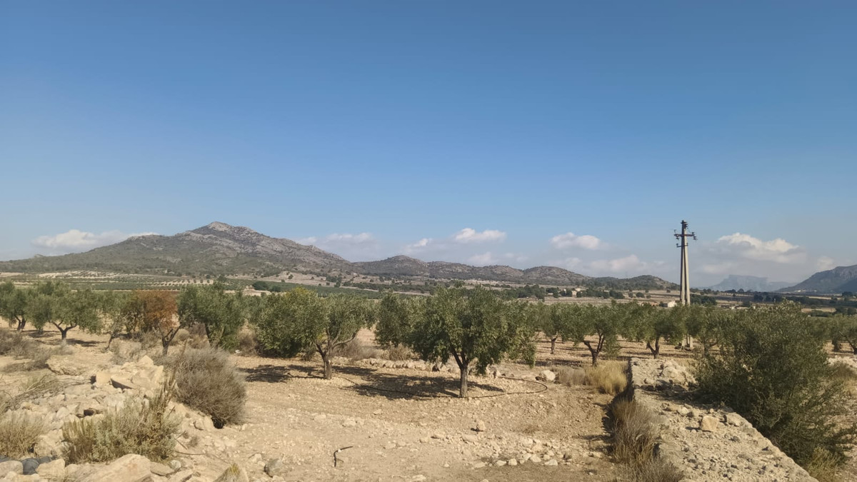 Se vende Terreno Rustico  en Costa Blanca, Alicante, España