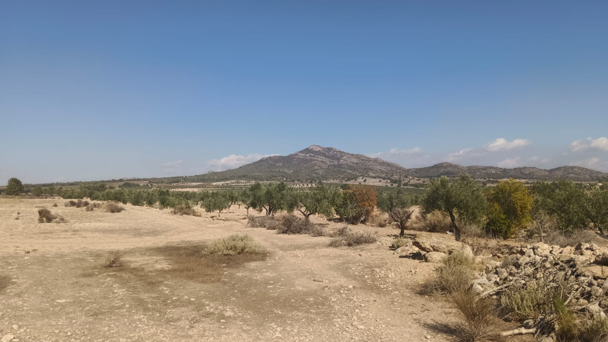 Se vende Terreno Rustico  en Costa Blanca, Alicante, España