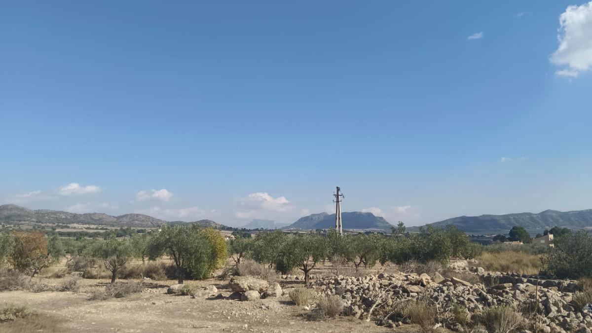Se vende Terreno Rustico  en Costa Blanca, Alicante, España
