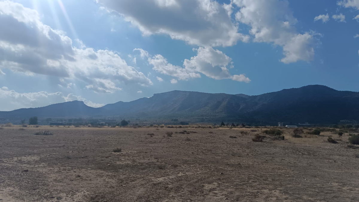 Se vende Terreno Rustico  en Costa Blanca, Alicante, España