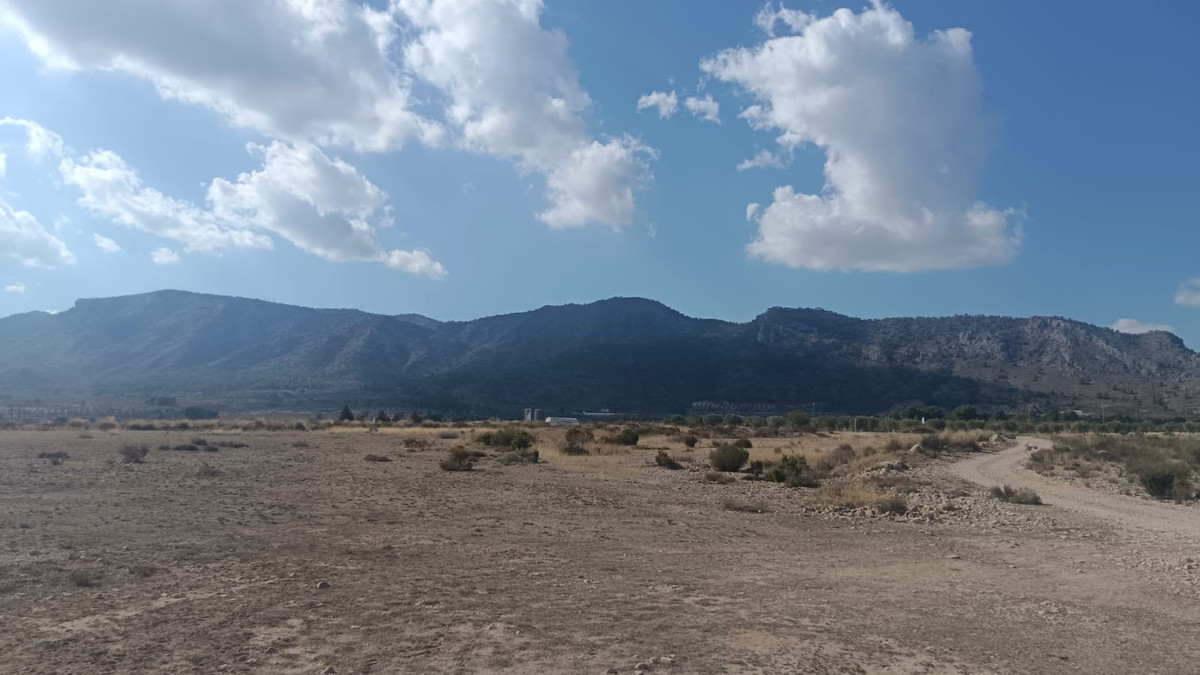 Se vende Terreno Rustico  en Costa Blanca, Alicante, España