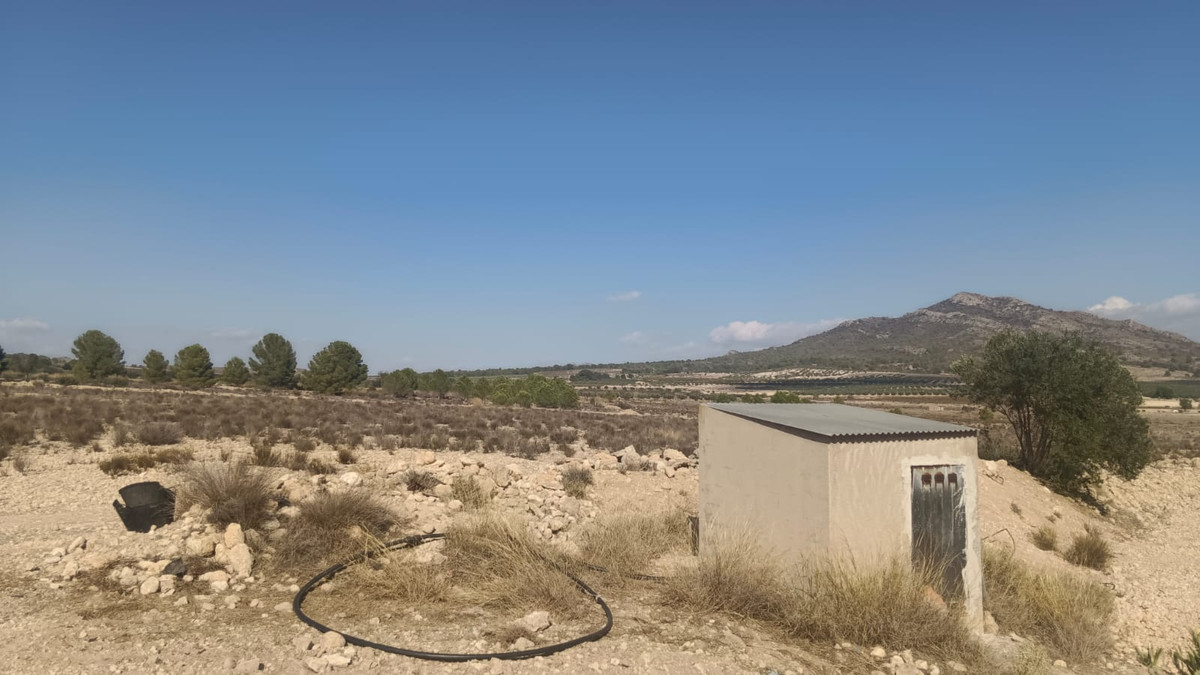 Se vende Terreno Rustico  en Costa Blanca, Alicante, España
