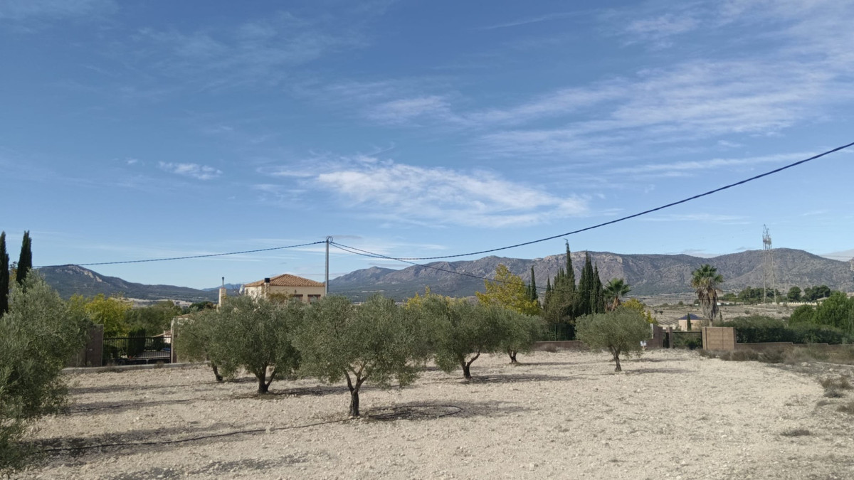 Se vende Terreno Rustico  en Costa Blanca, Alicante, España