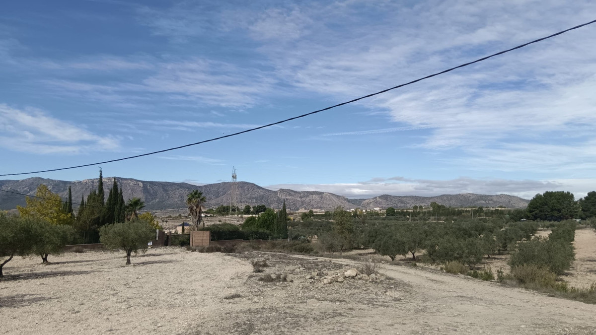 Se vende Terreno Rustico  en Costa Blanca, Alicante, España
