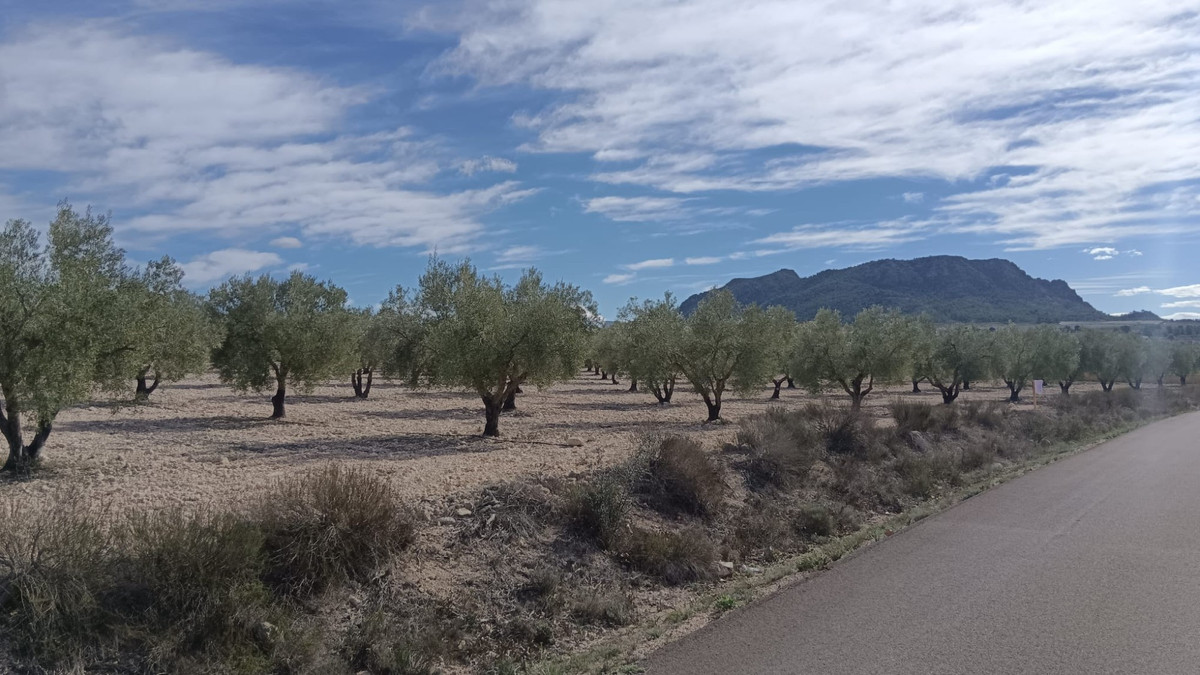 Se vende Terreno Rustico  en Costa Blanca, Alicante, España