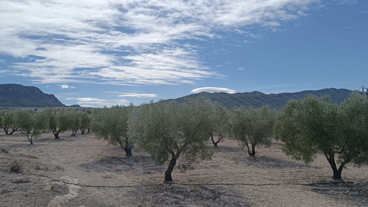 Se vende Terreno Rustico  en Costa Blanca, Alicante, España