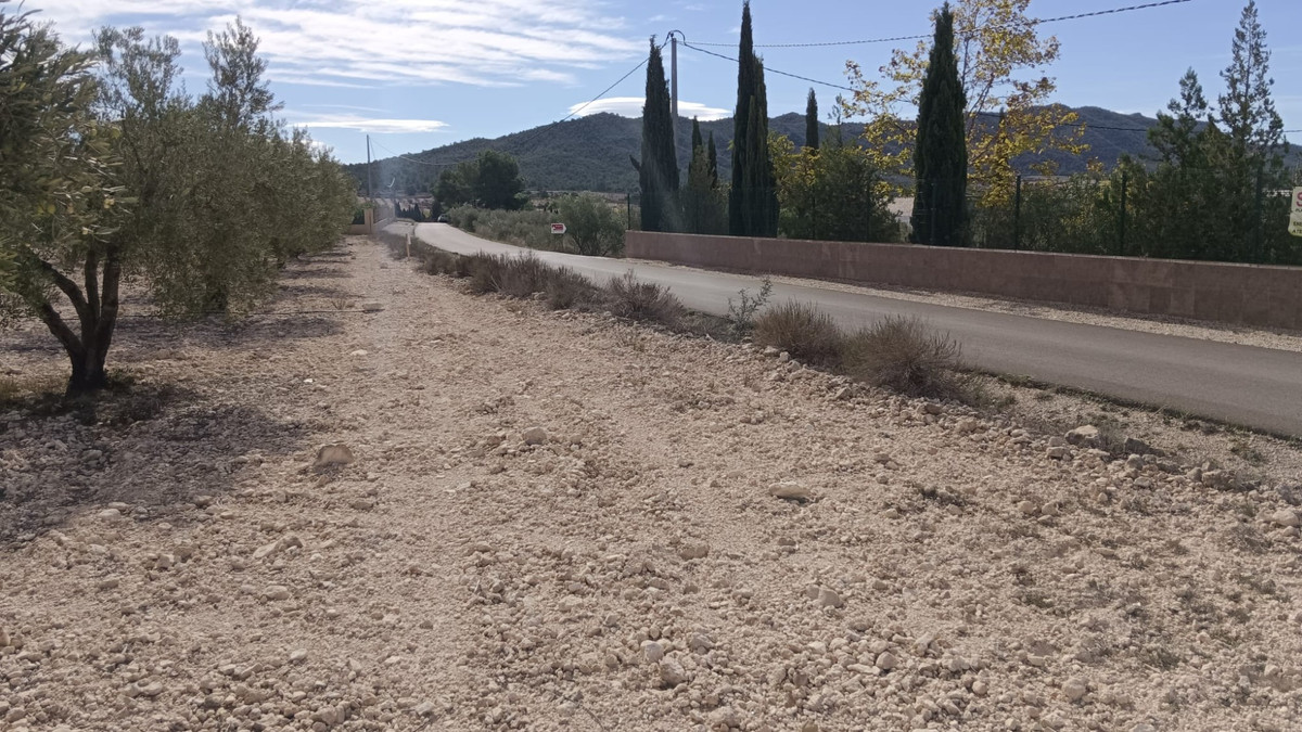 Se vende Terreno Rustico  en Costa Blanca, Alicante, España
