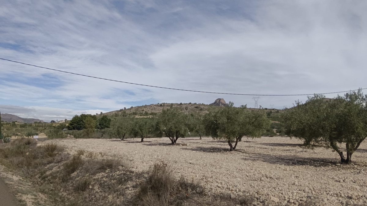 Se vende Terreno Rustico  en Costa Blanca, Alicante, España