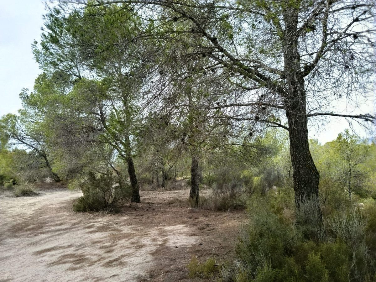Se vende Terreno Urbano  en Costa Blanca, Alicante, España