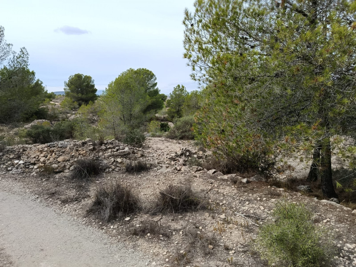 Se vende Terreno Urbano  en Costa Blanca, Alicante, España