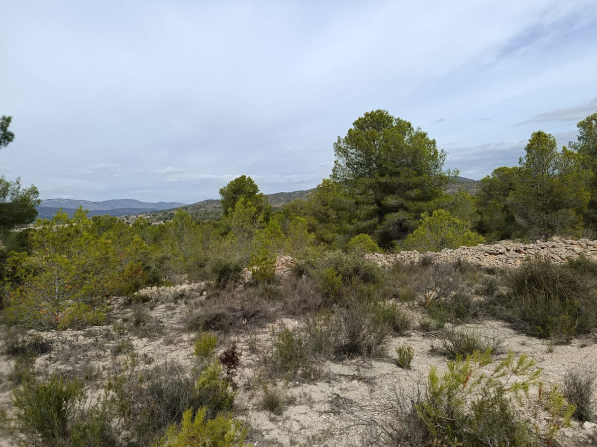 Se vende Terreno Urbano  en Costa Blanca, Alicante, España