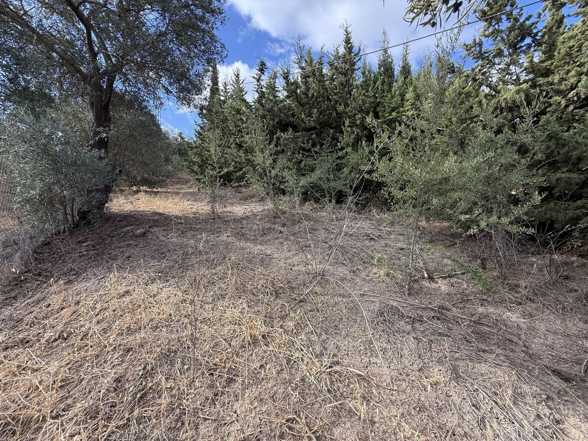 Se vende Finca - Cortijo de 6 dormitorios en Costa Del Sol, Málaga, España
