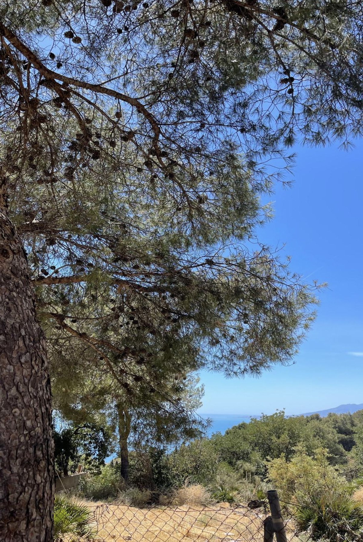 Se vende Terreno Rustico  en Costa Del Sol, Málaga, España
