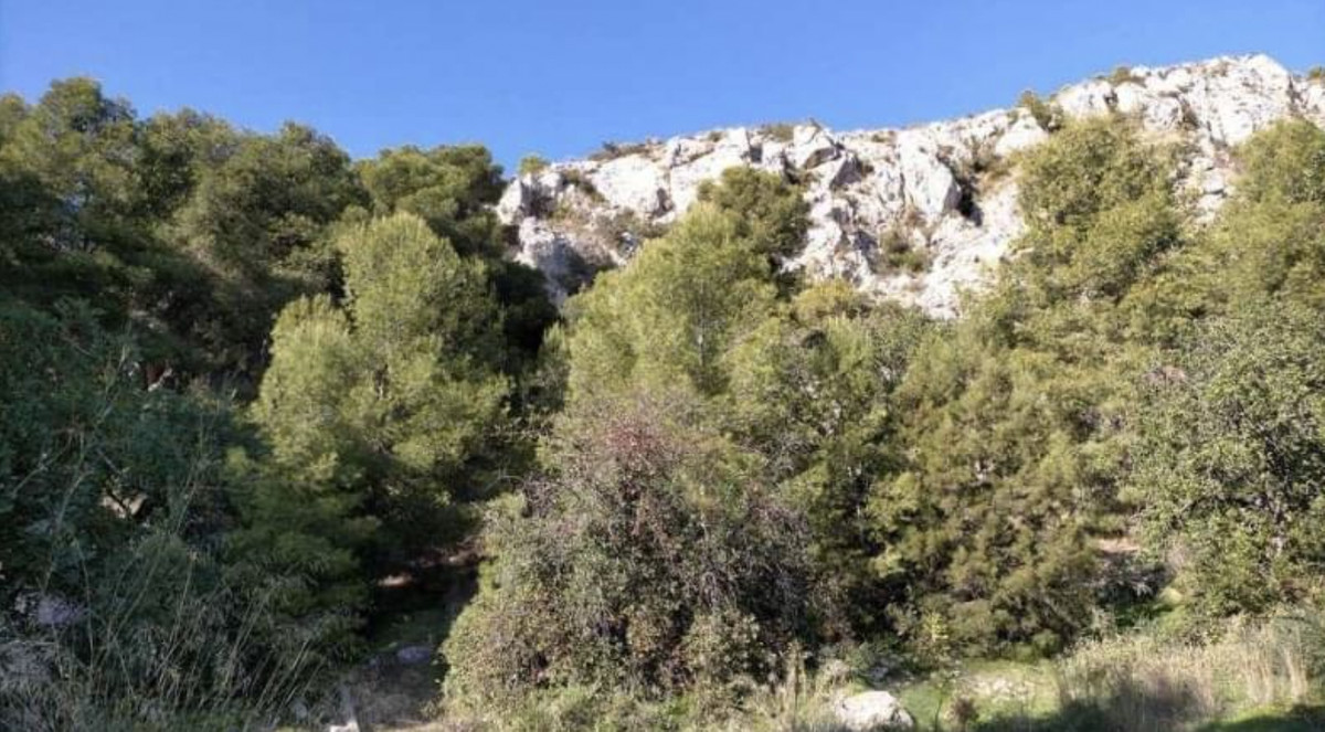 Se vende Terreno Rustico  en Costa Del Sol, Málaga, España