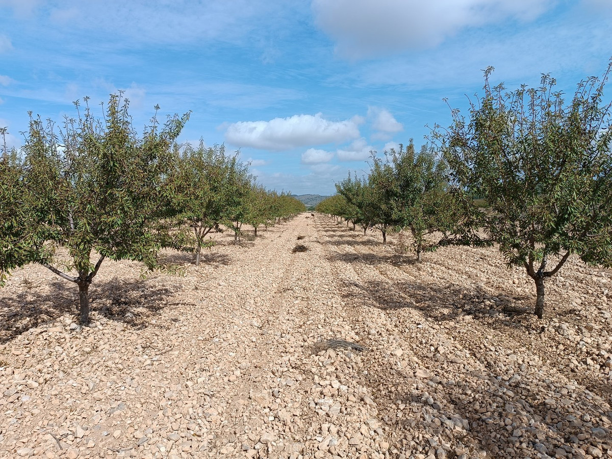 Se vende Terreno Rustico  en Costa Calida, Murcia, España