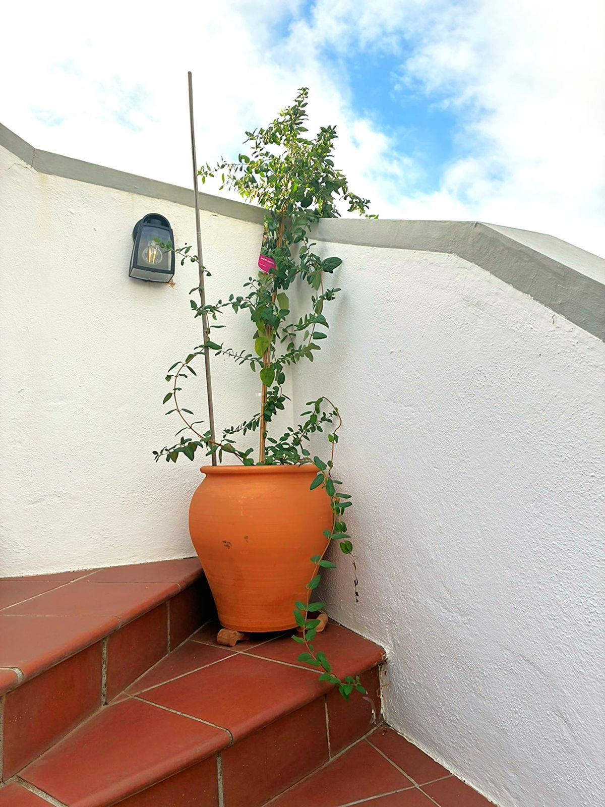 3 Bed Apartment for sale in Los Arqueros Costa Del Sol, Málaga, Spain