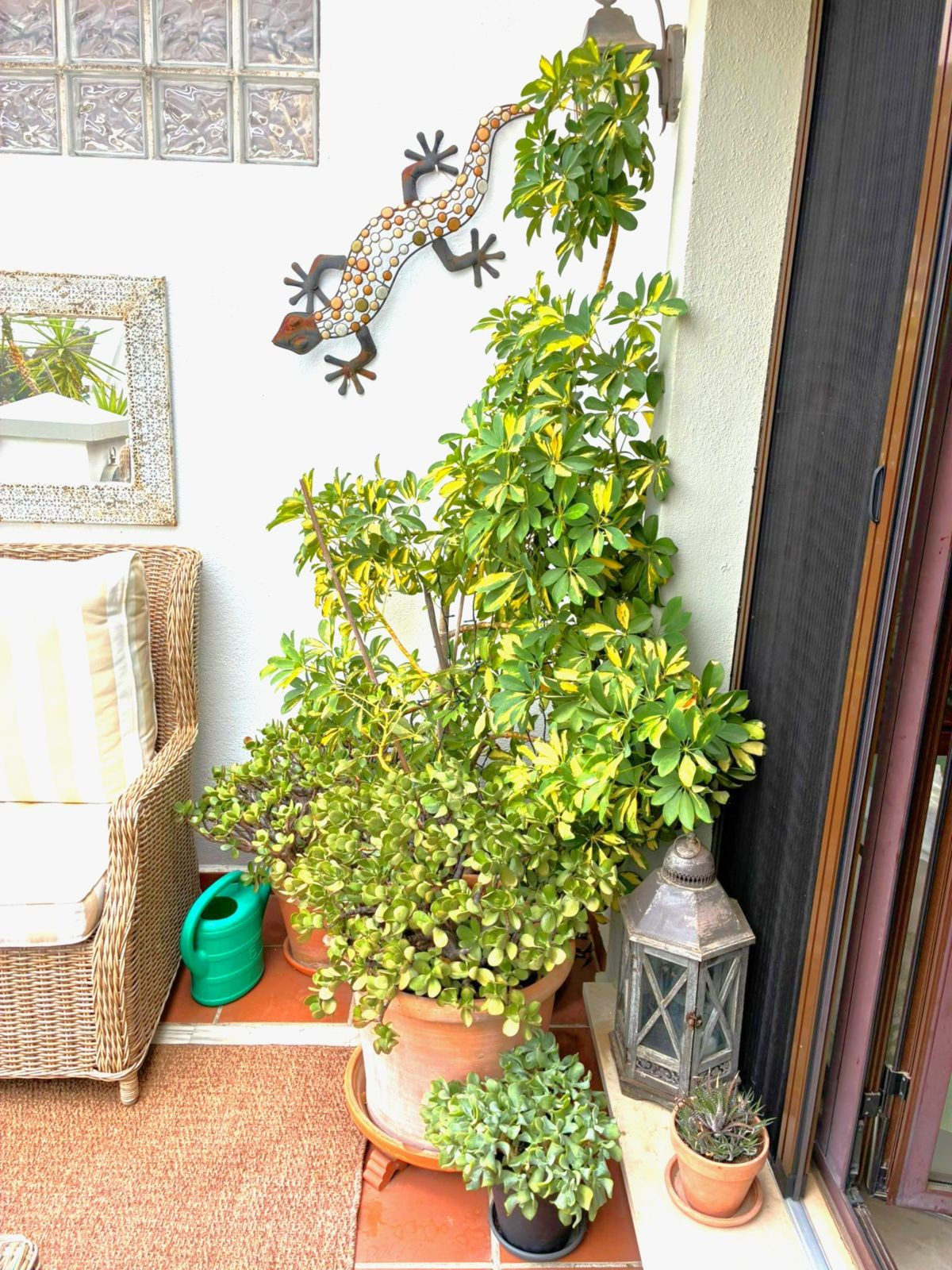 3 Bed Apartment for sale in Los Arqueros Costa Del Sol, Málaga, Spain