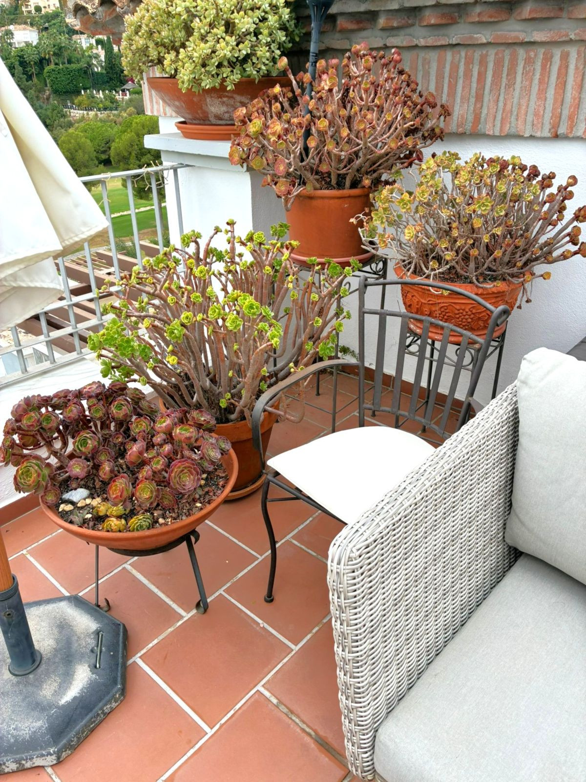 3 Bed Apartment for sale in Los Arqueros Costa Del Sol, Málaga, Spain