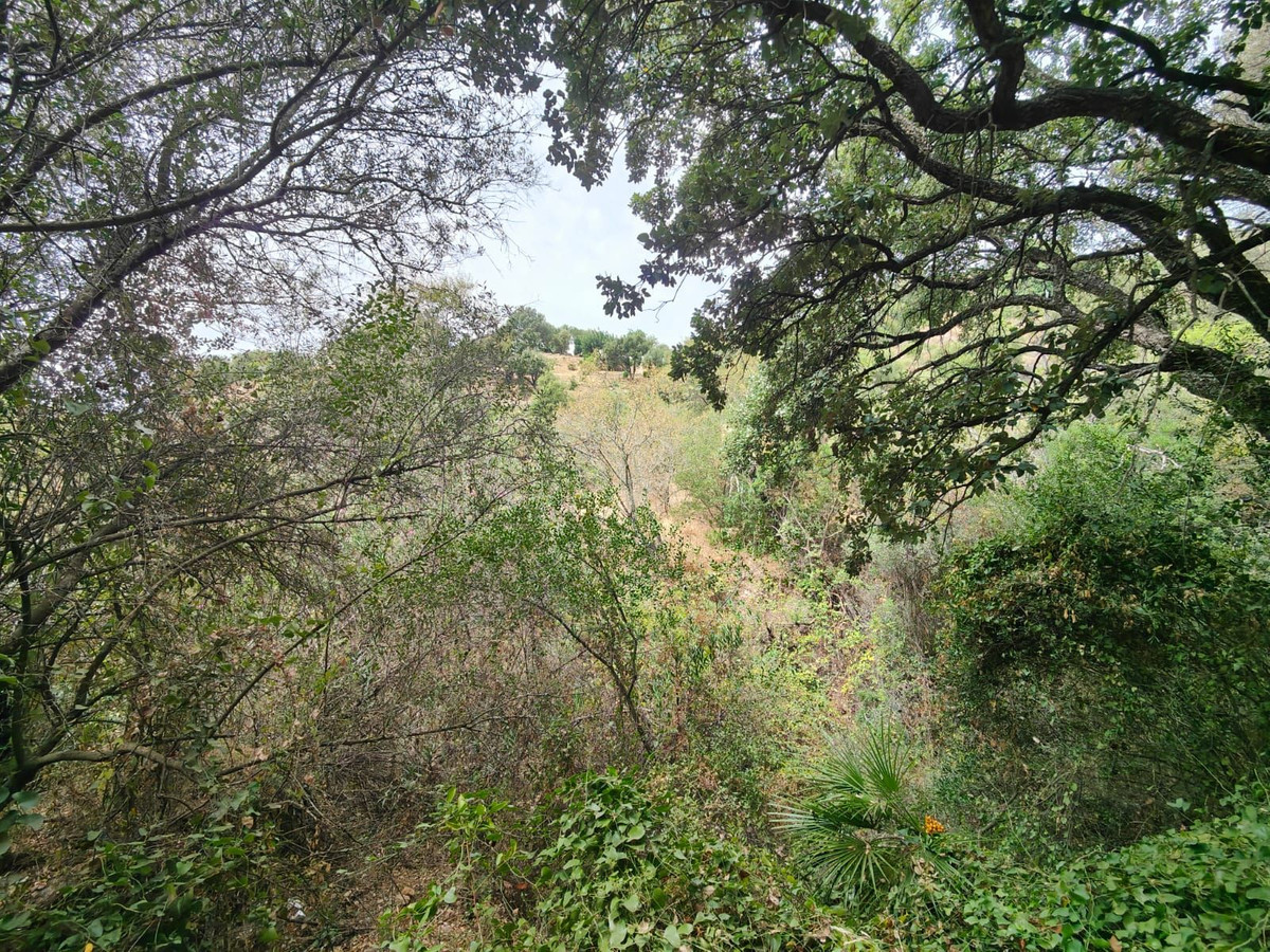 Plots for sale in Istán Costa Del Sol, Málaga, Spain