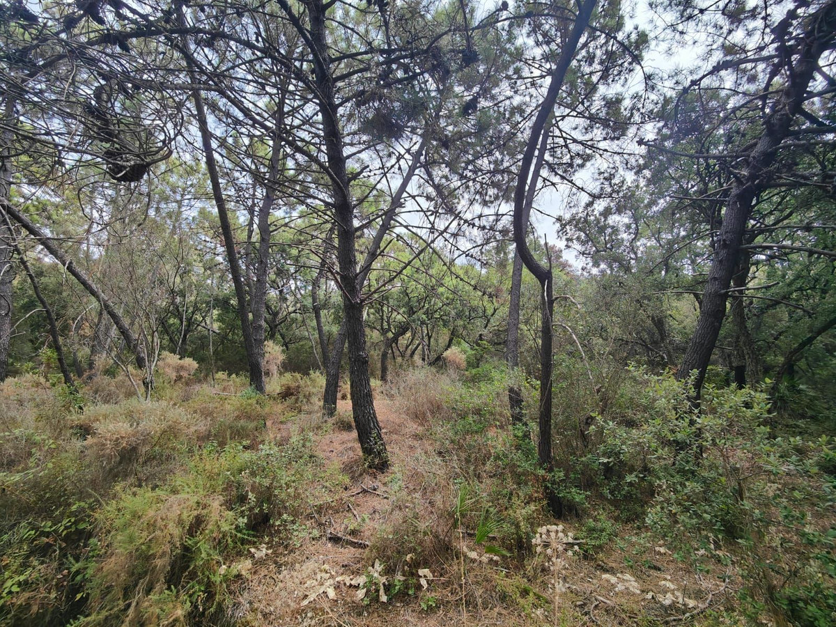 Plots for sale in Istán Costa Del Sol, Málaga, Spain