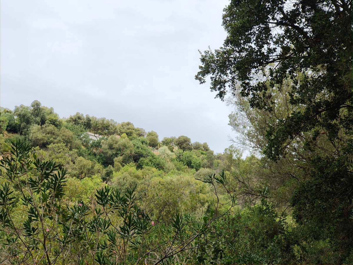 Plots for sale in Istán Costa Del Sol, Málaga, Spain