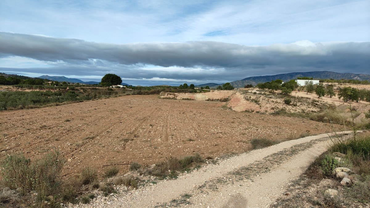 Plots for sale in Monóvar Costa Blanca, Alicante, Spain