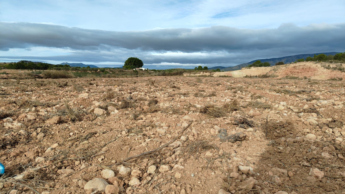 Plots for sale in Monóvar Costa Blanca, Alicante, Spain