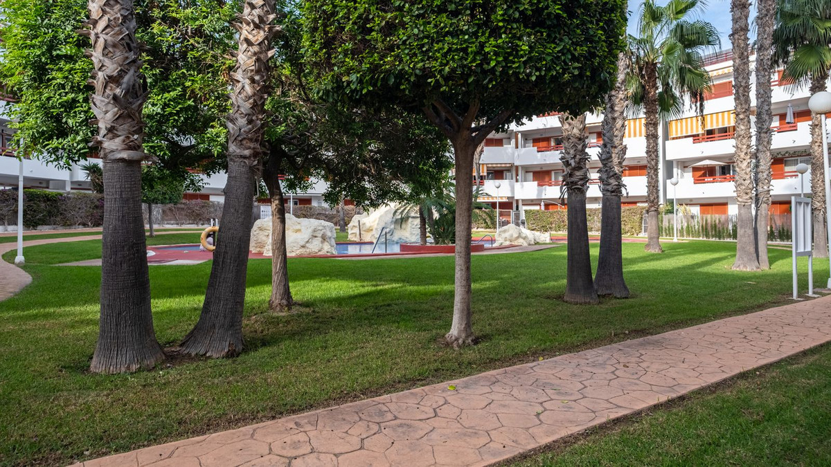 3 Bed Apartment for sale in Playa Flamenca Costa Blanca, Alicante, Spain