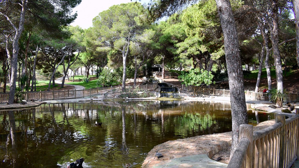 1 Bed Plots for sale in Guardamar Del Segura Costa Blanca, Alicante, Spain