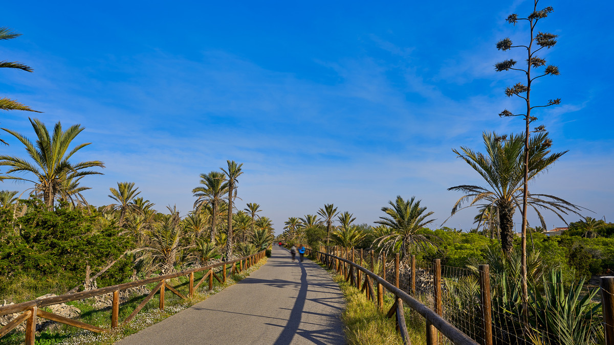 1 Bed Plots for sale in Guardamar Del Segura Costa Blanca, Alicante, Spain
