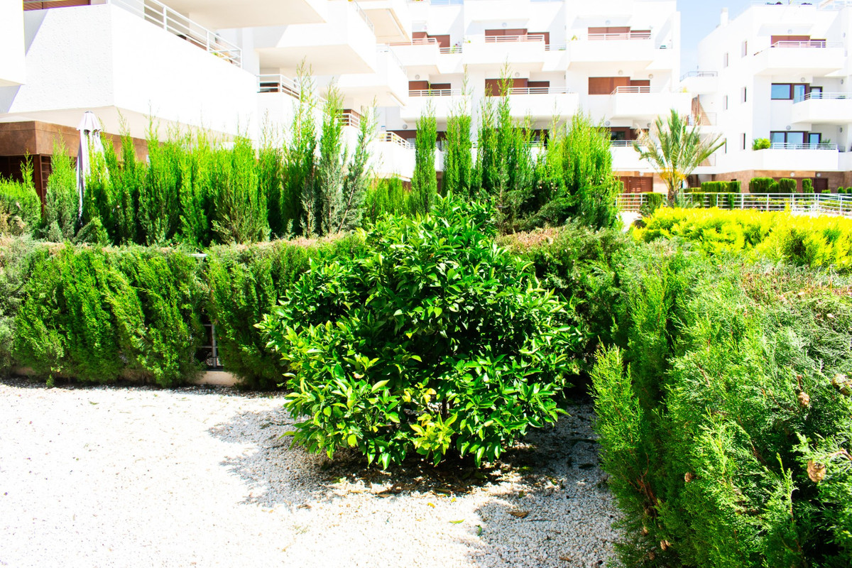 Se vende Apartamento Planta Baja de 2 dormitorios en Costa Blanca, Alicante, España