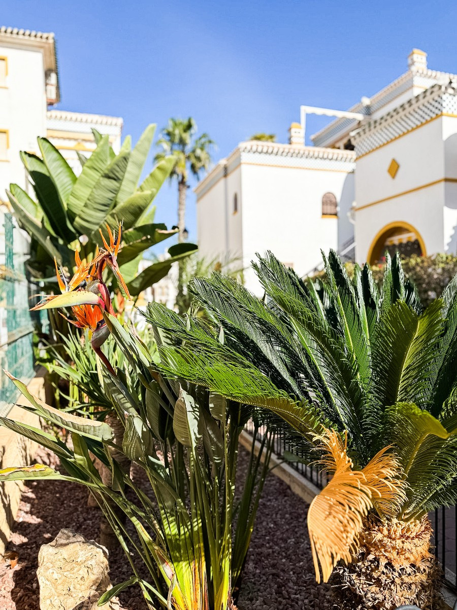 3 Bed Apartment for sale in Torrevieja Costa Blanca, Alicante, Spain