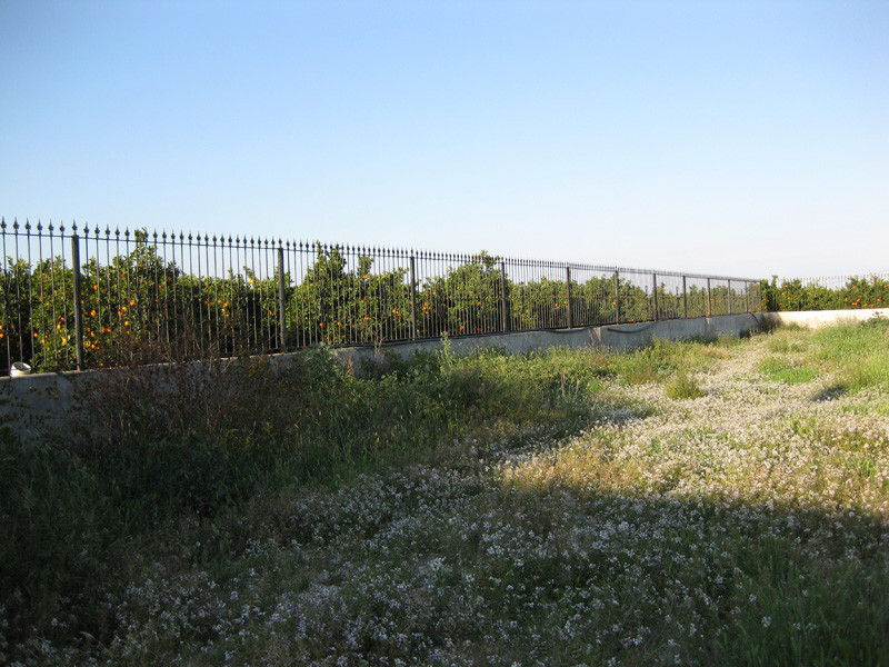 Se vende Finca - Cortijo de 3 dormitorios en Costa Blanca, Alicante, España