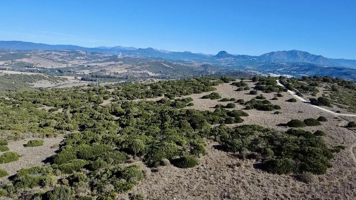 Se vende Terreno con Ruina  en Costa Del Sol, Cadiz, España