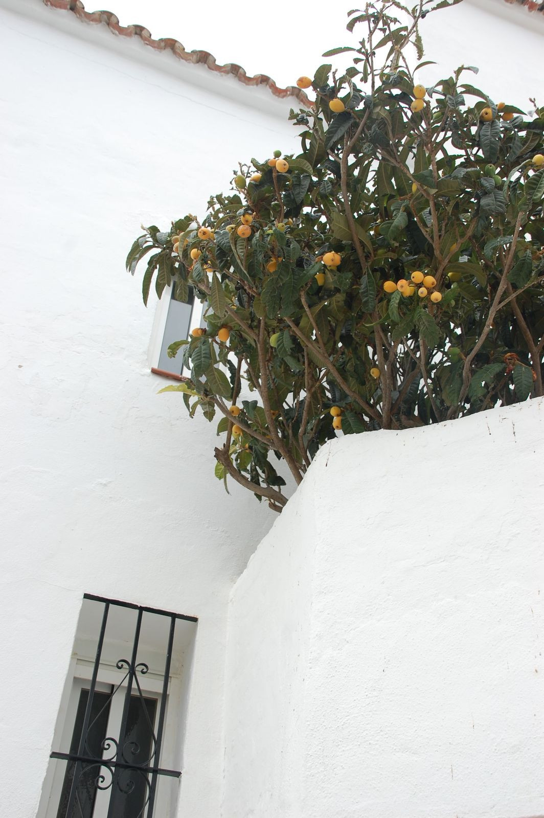 Se vende Pareada de 4 dormitorios en Costa Del Sol, Málaga, España