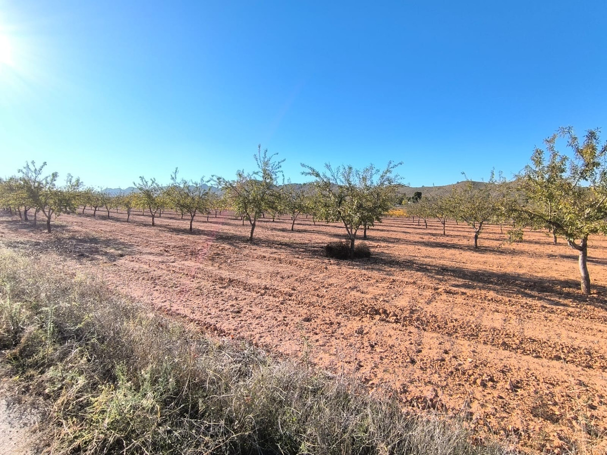 Se vende Terreno Rustico  en Costa Calida, Murcia, España