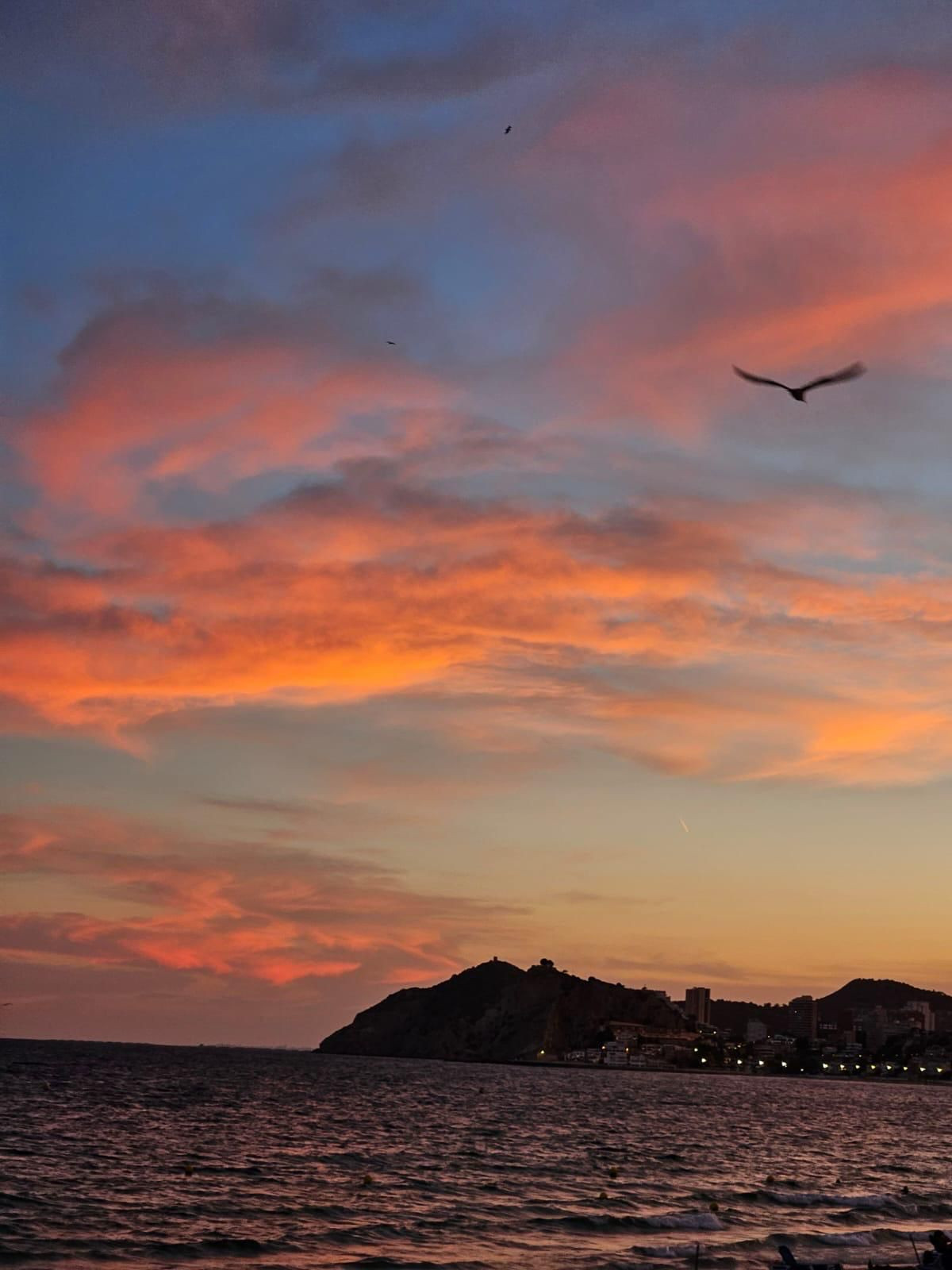Se vende Apartamento Planta Media de 3 dormitorios en Costa Blanca, Alicante, España
