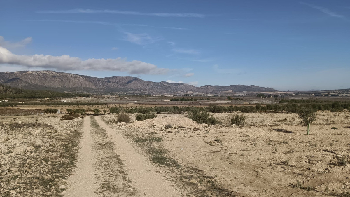 Se vende Terreno Rustico  en Costa Blanca, Alicante, España