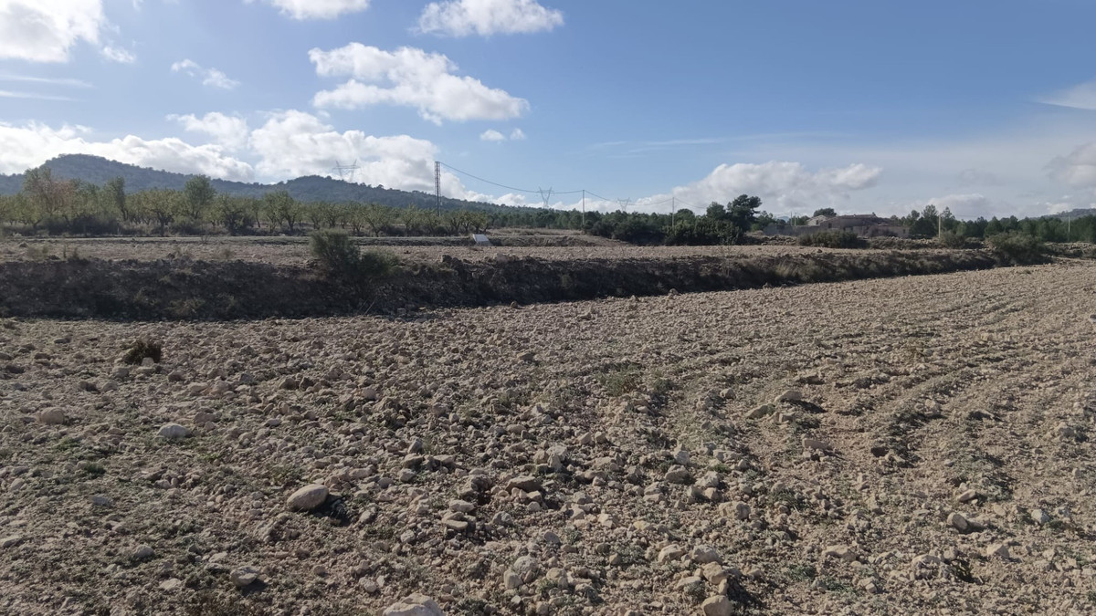 Se vende Terreno Rustico  en Costa Blanca, Alicante, España